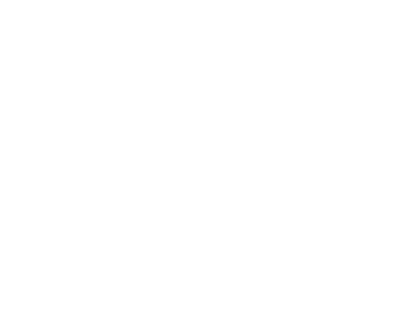 ProtoDynamics